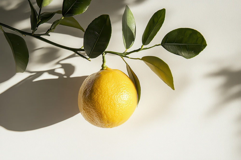 Donna Serap Glitzer Aperitif Yuzu.